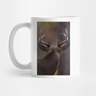 Don't look back - White-tailed Deer Mug